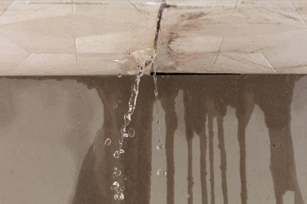 Professional Structural Drying technician working in Darfur, MN